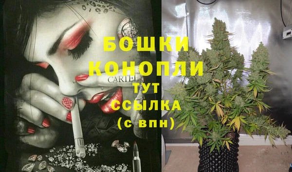 хмурый Дмитровск
