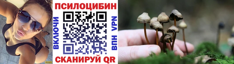 Псилоцибиновые грибы Cubensis  Купить где  Урай 